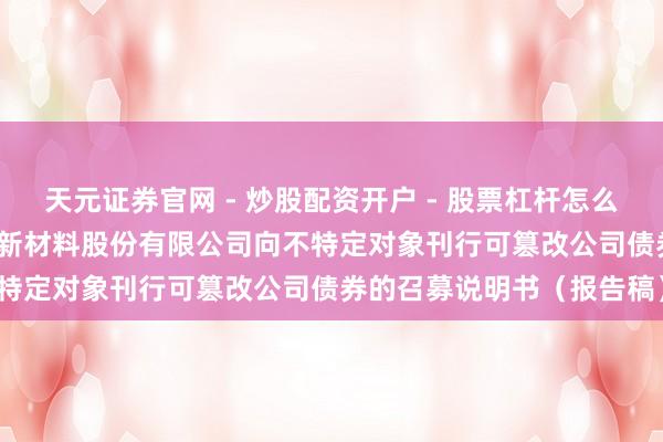 天元证券官网 - 炒股配资开户 - 股票杠杆怎么注册 盛德鑫泰: 盛德鑫泰新材料股份有限公司向不特定对象刊行可篡改公司债券的召募说明书（报告稿）