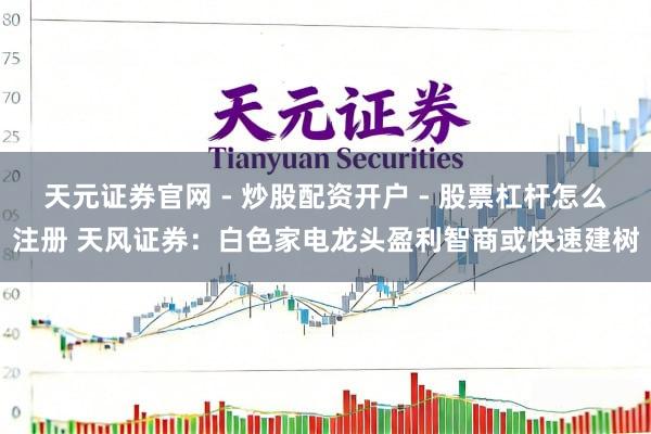 天元证券官网 - 炒股配资开户 - 股票杠杆怎么注册 天风证券：白色家电龙头盈利智商或快速建树