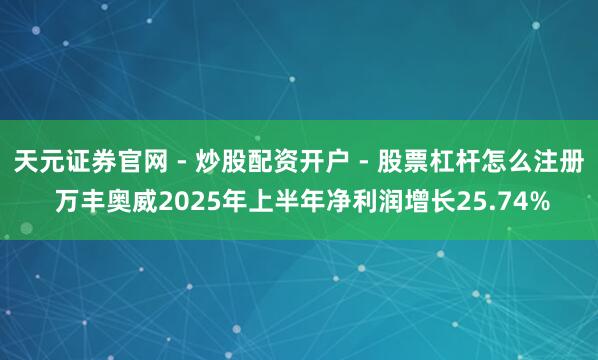 天元证券官网 - 炒股配资开户 - 股票杠杆怎么注册 万丰奥威2025年上半年净利润增长25.74%