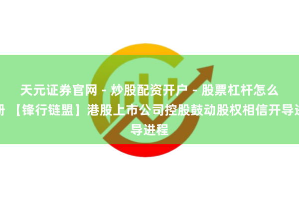 天元证券官网 - 炒股配资开户 - 股票杠杆怎么注册 【锋行链盟】港股上市公司控股鼓动股权相信开导进程