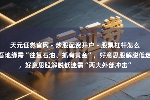 天元证券官网 - 炒股配资开户 - 股票杠杆怎么注册 好意思银:支吾地缘需“往复石油、抓有黄金”,好意思股解脱低迷需“两大外部冲击”