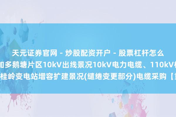 天元证券官网 - 炒股配资开户 - 股票杠杆怎么注册 新亚电缆中标：加多鹅塘片区10kV出线景况10kV电力电缆、110kV桂岭变电站增容扩建景况(缱绻变更部分)电缆采购【重新采购】成交成果公告