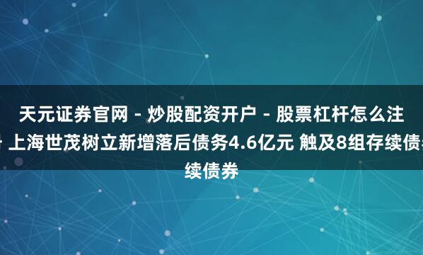 天元证券官网 - 炒股配资开户 - 股票杠杆怎么注册 上海世茂树立新增落后债务4.6亿元 触及8组存续债券