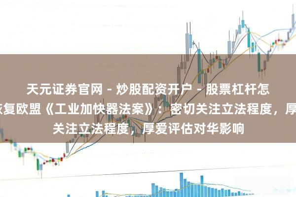 天元证券官网 - 炒股配资开户 - 股票杠杆怎么注册 商务部恢复欧盟《工业加快器法案》:密切关注立法程度,厚爱评估对华影响