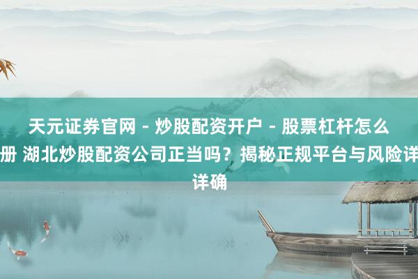 天元证券官网 - 炒股配资开户 - 股票杠杆怎么注册 湖北炒股配资公司正当吗?揭秘正规平台与风险详确