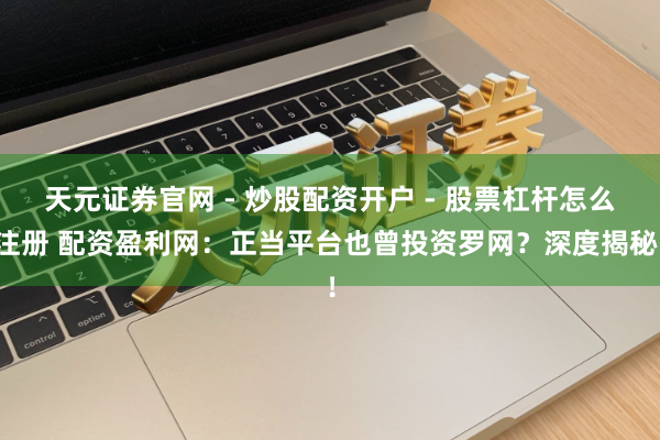 天元证券官网 - 炒股配资开户 - 股票杠杆怎么注册 配资盈利网：正当平台也曾投资罗网？深度揭秘！