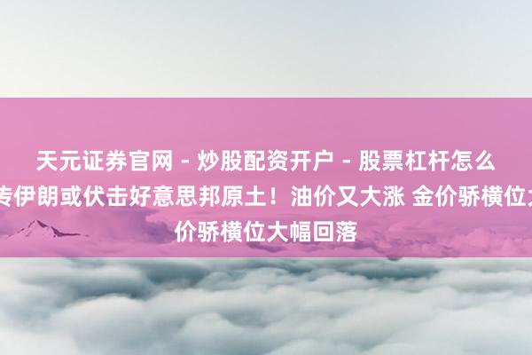 天元证券官网 - 炒股配资开户 - 股票杠杆怎么注册 突传伊朗或伏击好意思邦原土!油价又大涨 金价骄横位大幅回落