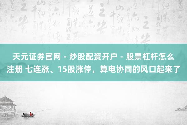 天元证券官网 - 炒股配资开户 - 股票杠杆怎么注册 七连涨、15股涨停，算电协同的风口起来了