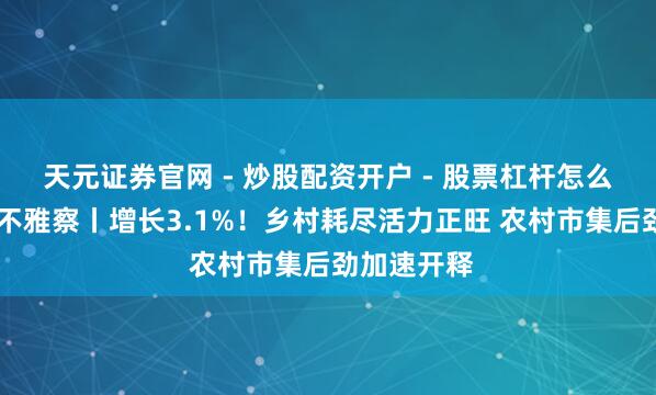 天元证券官网 - 炒股配资开户 - 股票杠杆怎么注册 晶采不雅察丨增长3.1%！乡村耗尽活力正旺 农村市集后劲加速开释