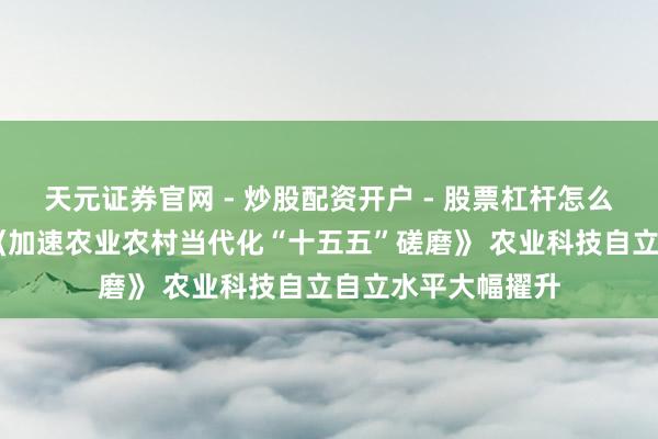 天元证券官网 - 炒股配资开户 - 股票杠杆怎么注册 国务院印发《加速农业农村当代化“十五五”磋磨》 农业科技自立自立水平大幅擢升