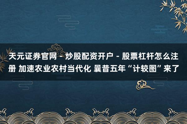 天元证券官网 - 炒股配资开户 - 股票杠杆怎么注册 加速农业农村当代化 曩昔五年“计较图”来了