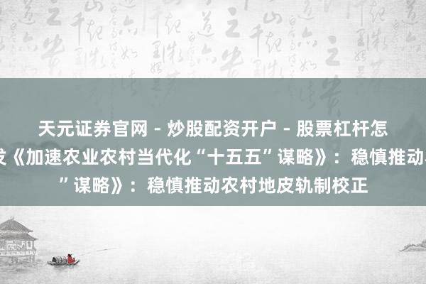 天元证券官网 - 炒股配资开户 - 股票杠杆怎么注册 国务院印发《加速农业农村当代化“十五五”谋略》：稳慎推动农村地皮轨制校正