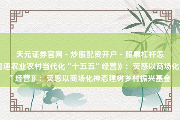 天元证券官网 - 炒股配资开户 - 股票杠杆怎么注册 国务院印发《加速农业农村当代化“十五五”经营》：荧惑以商场化神态建树乡村振兴基金