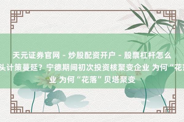 天元证券官网 - 炒股配资开户 - 股票杠杆怎么注册 能源巨头计策蔓延？宁德期间初次投资核聚变企业 为何“花落”贝塔聚变