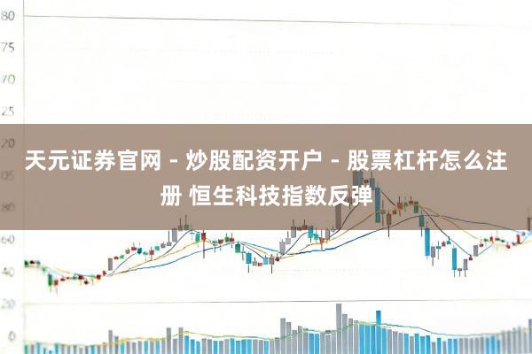 天元证券官网 - 炒股配资开户 - 股票杠杆怎么注册 恒生科技指数反弹