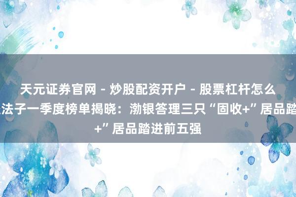 天元证券官网 - 炒股配资开户 - 股票杠杆怎么注册 普益法子一季度榜单揭晓：渤银答理三只“固收+”居品踏进前五强